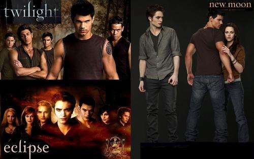 The Twilight Saga Trilogy: Twilight/New Moon/Eclipse - 1-3  (All 2 Disc editions) [DVD]