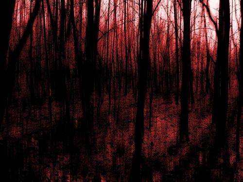 2 Horror Classics - Friday the 13th (2009) - Extended Edition & My Bloody Valentine (2009) [DVD]