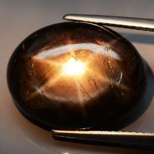 **GORGEOUS** - MASSIVE 20.18 CARAT STAR SAPPHIRE. STRONG ASTERISM ! R49,000.00