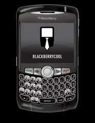 Like New - Blackberry 8310