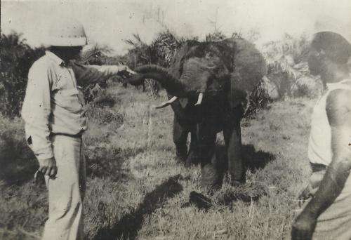 COLONIAL AFRICA - 17 OLD "SNAP SHOT" PHOTOGRAPHS!