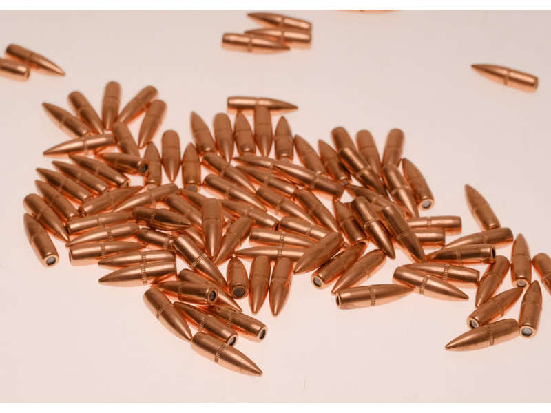 Hornady .22 caliber .224, 62 gr, FMJ, Bullets [100]
