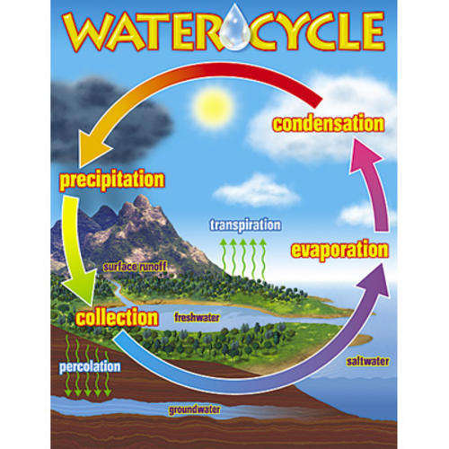 Poster - Watercycle