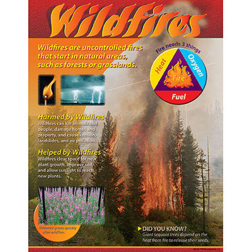 Poster - Wild fires