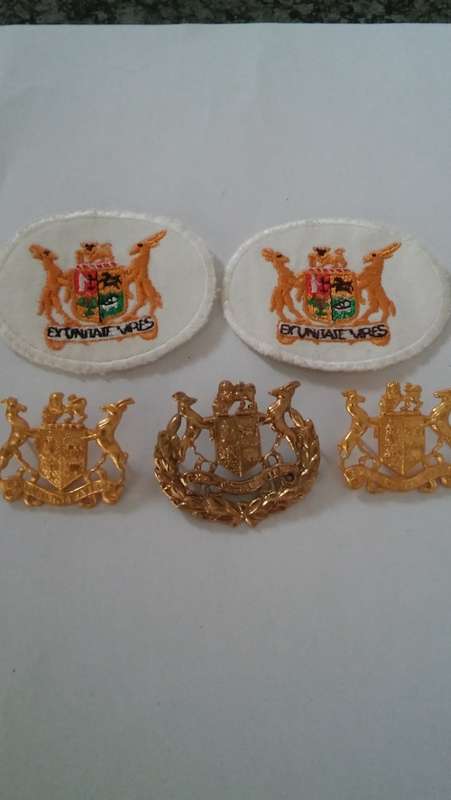 Warren Officer badge