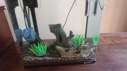 Fish Tank Boyu MR418