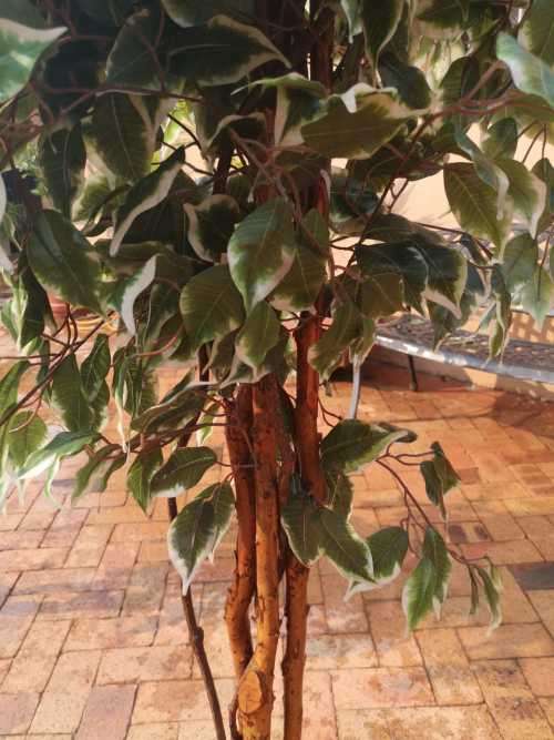 2 trees artificial as a lot