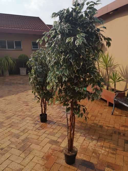 2 trees artificial as a lot