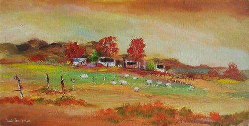 Overberg sheep