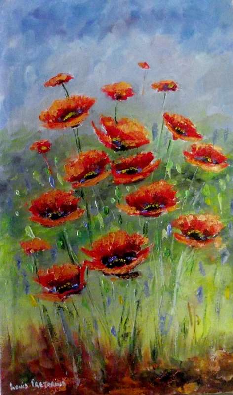 poppies