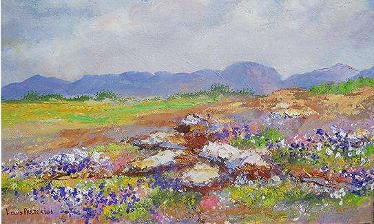 Rocky landscape 001