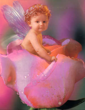 LITTLE FAIRY