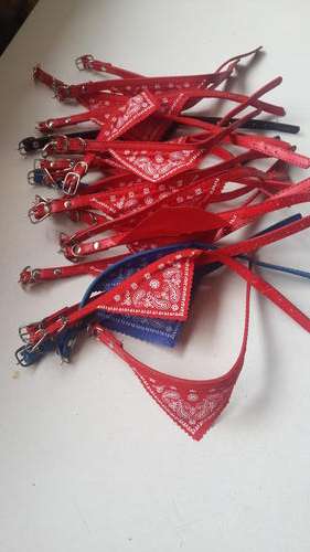 Dog & Cat collars Bulk lot 23 items