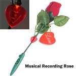***Excellent Valentines Gift*** Recordable Red Rose for that special message