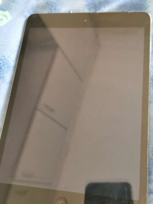 iPad Mini 2 (Cellular+WiFi)