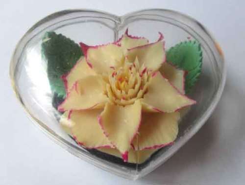 Beautiful Rose that will never die -Soap in a Heart  Plastic Box