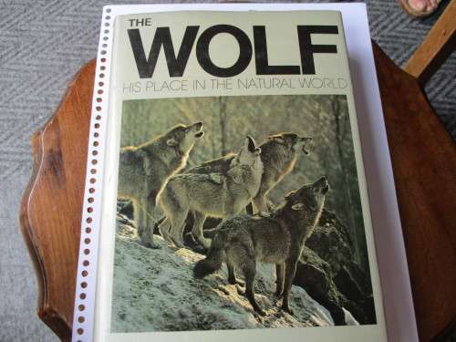 THE WOLF -HIS PLACE IN THE NATURAL WORLD  ERIK ZIMEN