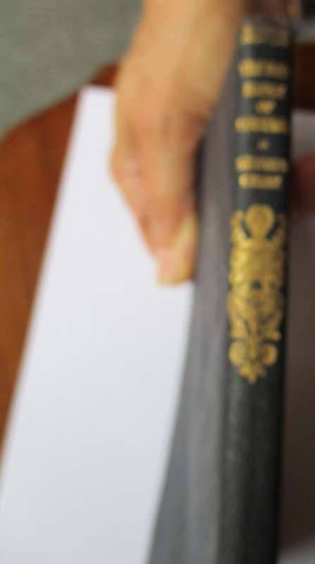 THE RED BADGE OF COURAGE BY STEPHEN CRANE Introduction by FREDERICK BRERETON