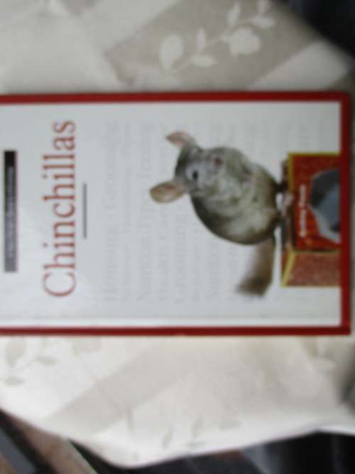 CHINCHILLAS A New  Wwner's Guide to Chinchillas By Audrey Pavia