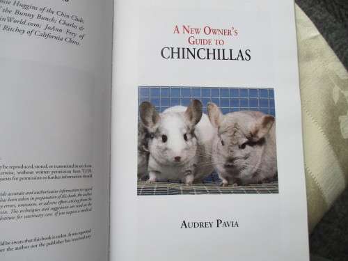 CHINCHILLAS A New  Wwner's Guide to Chinchillas By Audrey Pavia