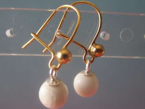 A pair of Silver & Rolled Gold Earrings