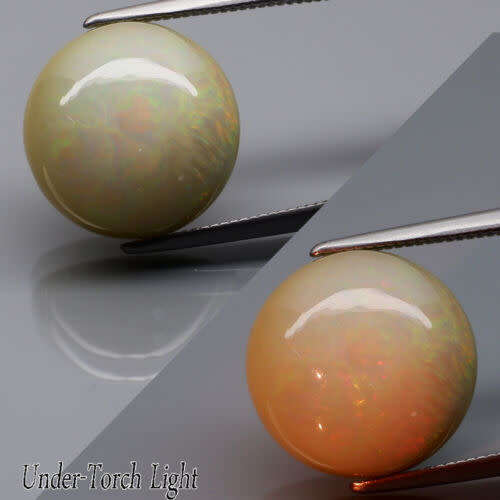 6.44ct Durable strong  Big Platinum & Rainow Color Sparkling Opal Round 13.30mm