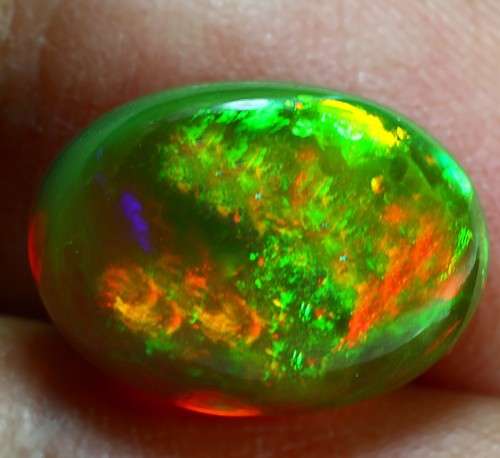 4.72ct Solid Play Welo Fire IF Cabochon Oval 14.00 x 10.00mm