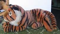 Beautiful Brown Tiger