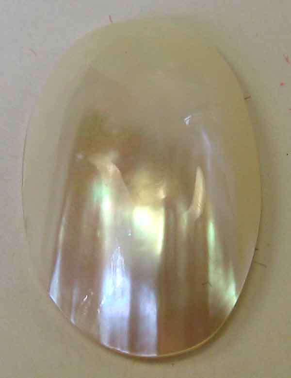 24.00 x 15.00 mm Oval Shell.