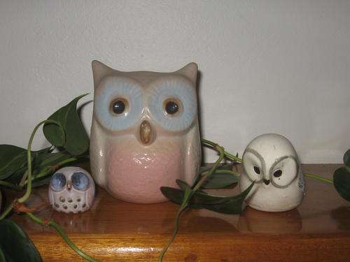 Trio of Owls - don't give a hoot buy the whole bang toot - bargain price!