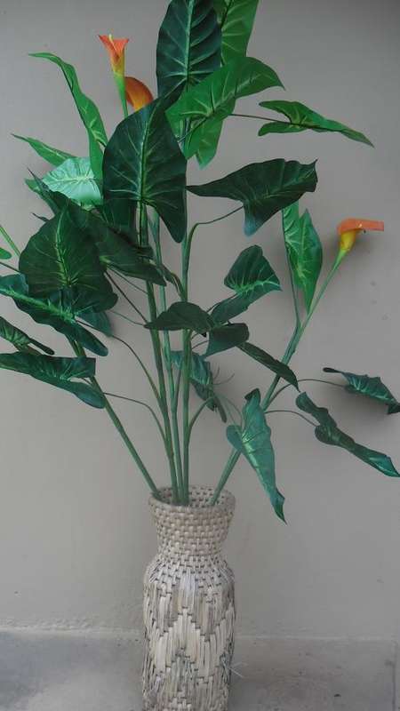 Beautiful Artificial Arum Lillies (150cm) with either pink or yellow flowers (5 flowers)