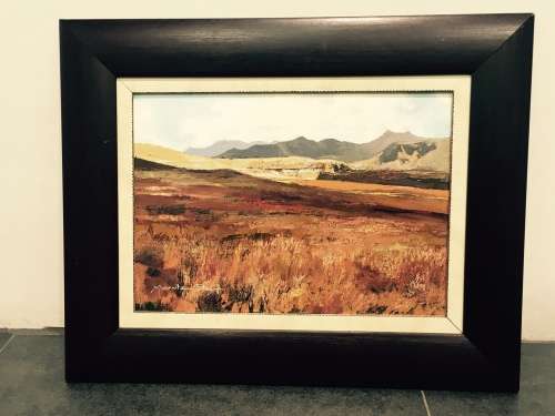Marnitz Steyn - Crazy R1 auction start