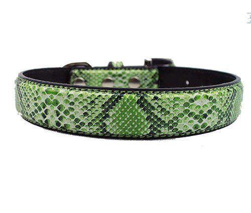 Faux Snake Skin Collar