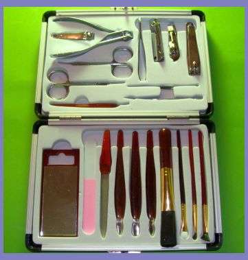 FREE SHIPPING!!! 21 PC MANICURE SET IN STUNNING CASE