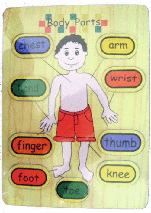 *** My Body Parts Wooden Puzzle ***