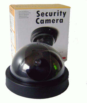 *** Dummy Dome Security Camera-CCTV ( with motion detection ) ***