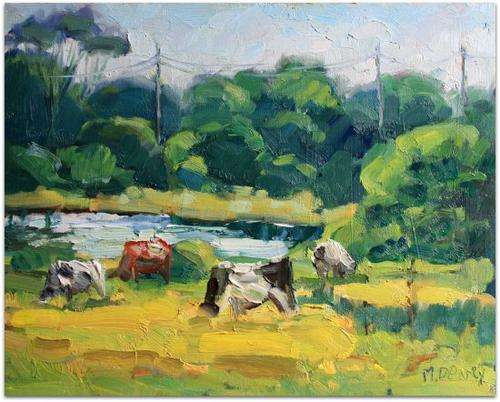 Pasture