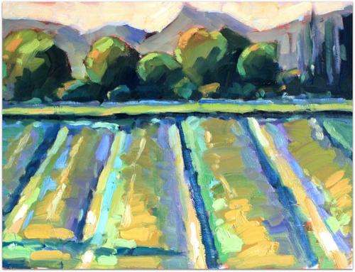 The Fields