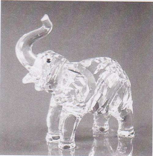 Baby Elephant