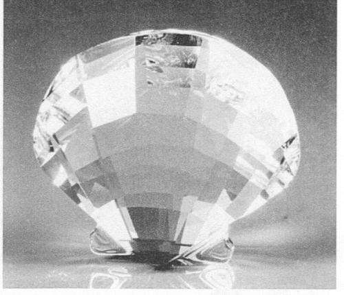 Member's Scallop - Retired