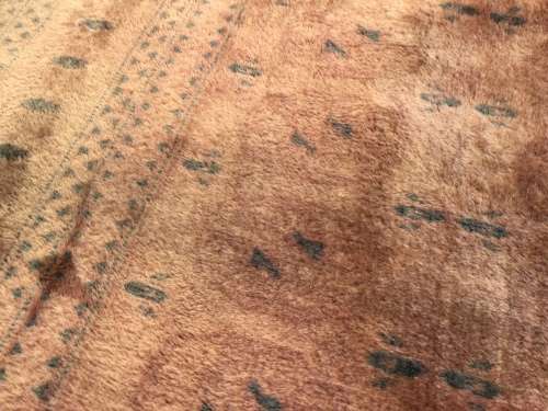 VINTAGE HAND-KNOTTED DUSTY PINK PERSIAN CARPET!! *1950mm - 1300mm*