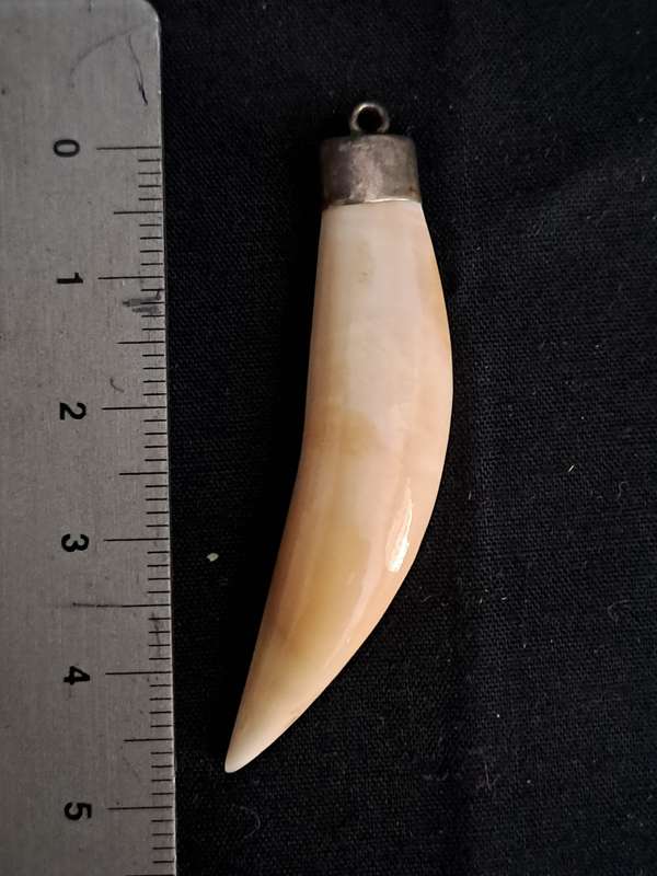 Vintage Tooth Shaped Pendant