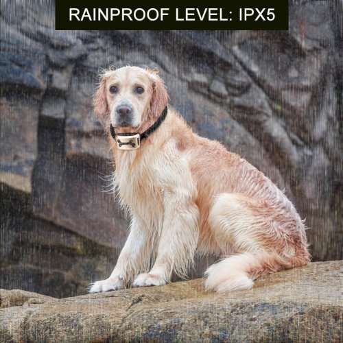 No Bark Collar - with sound, vibration and/or shock settings