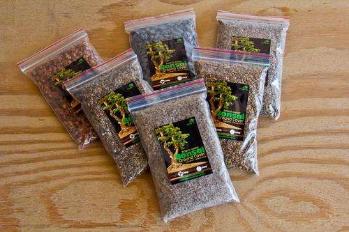 bonsai tree ground cover stone gravel