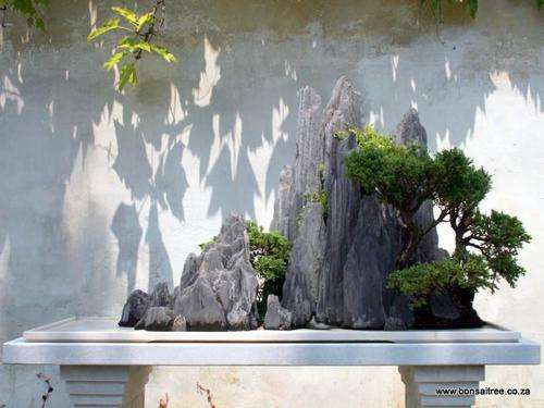 Penjing/Bonsai Stone Planting Tray - Large