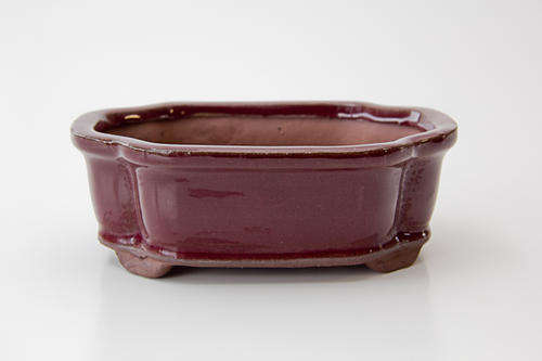 Glazed Bonsai Container, 15.5 x 12 x 5cm