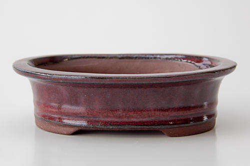 Glazed Bonsai Container, 15.5 x 12 x 4.5cm