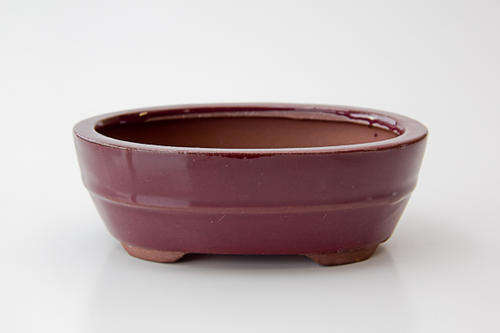 Glazed Bonsai Container, 15 x 12 x 5cm