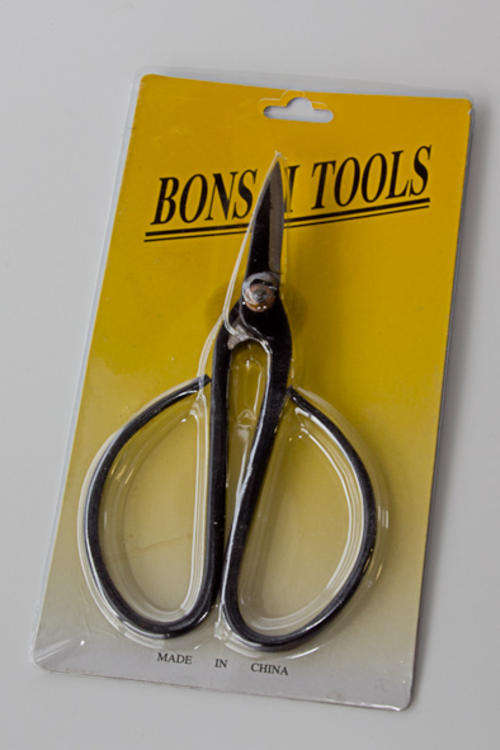 Bonsai 19cm Scissors