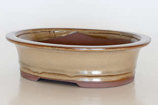 Glazed Bonsai Container, 20.5 x 16.5 x 5.5cm